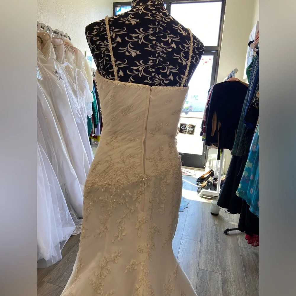 Anjolique Wedding Gown - Picture 8 of 11